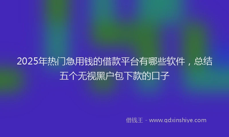 2025年热门急用钱的借款平台有哪些软件，总结五个无视黑户包下款的口子