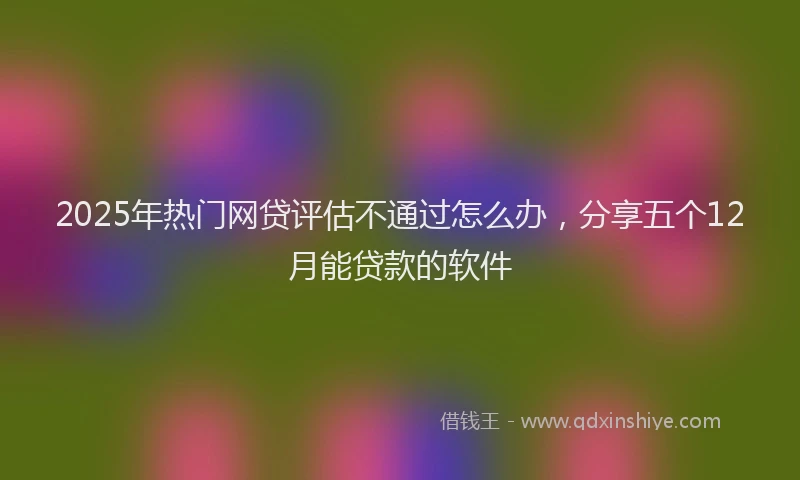 2025年热门网贷评估不通过怎么办，分享五个12月能贷款的软件