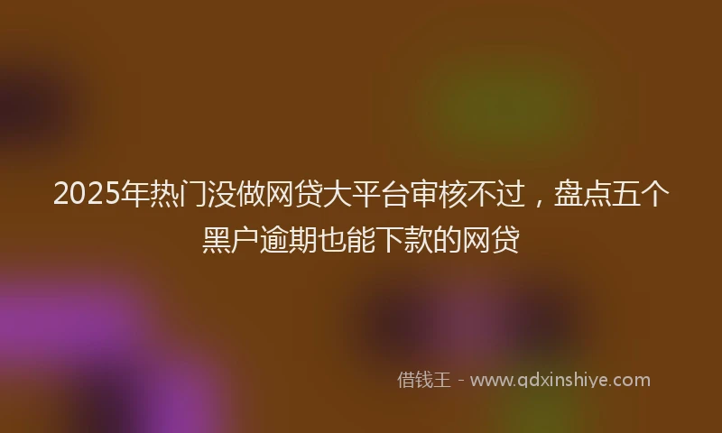 2025年热门没做网贷大平台审核不过，盘点五个黑户逾期也能下款的网贷