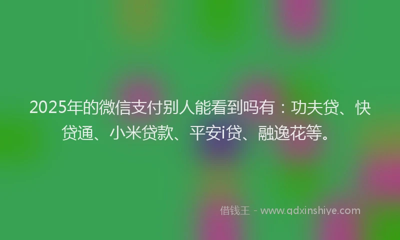2025年的微信支付别人能看到吗有：功夫贷、快贷通、小米贷款、平安i贷、融逸花等。