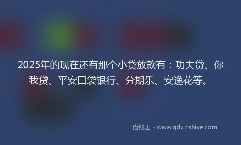 2025年的现在还有那个小贷放款有：功夫贷、你我贷、平安口袋银行、分期乐、安逸花等。
