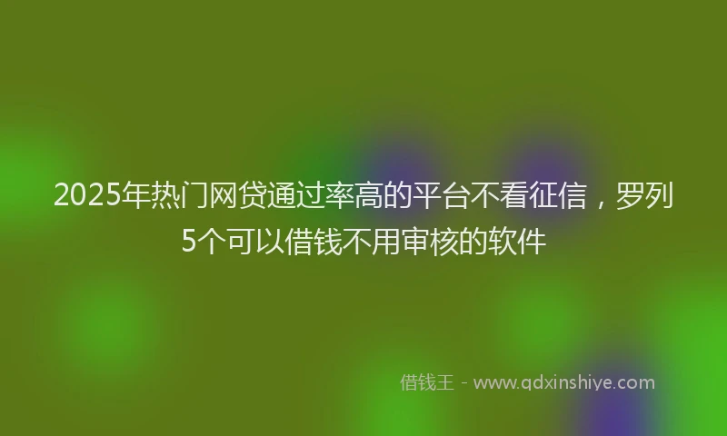2025年热门网贷通过率高的平台不看征信，罗列5个可以借钱不用审核的软件