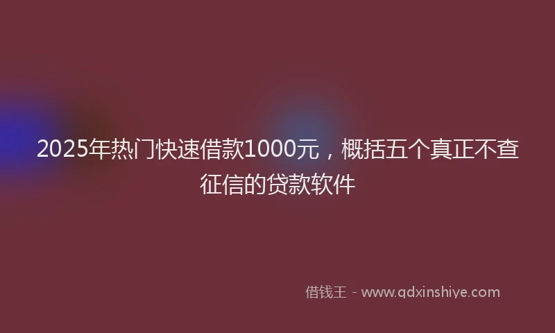 2025年热门快速借款1000元，概括五个真正不查征信的贷款软件