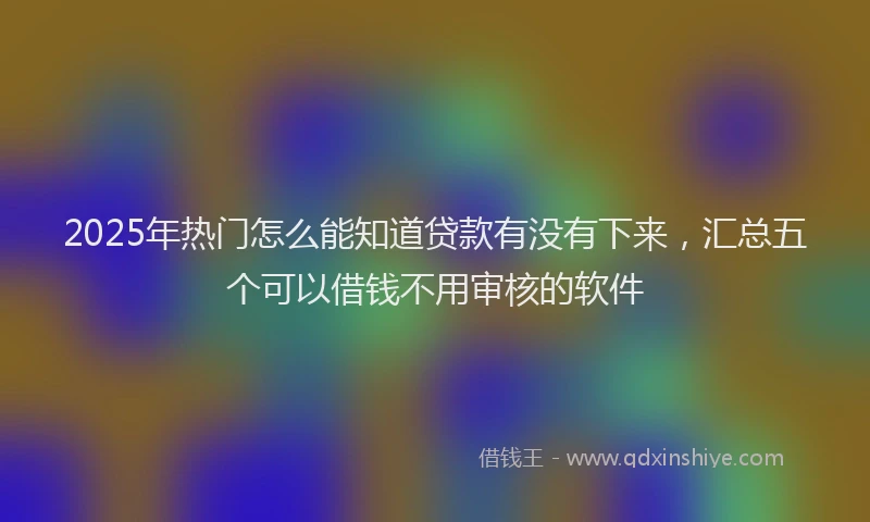 2025年热门怎么能知道贷款有没有下来，汇总五个可以借钱不用审核的软件