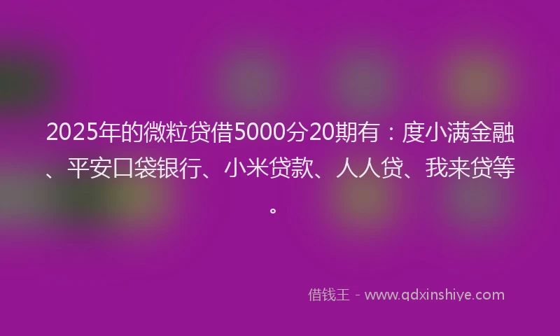 2025年的微粒贷借5000分20期有：度小满金融、平安口袋银行、小米贷款、人人贷、我来贷等。
