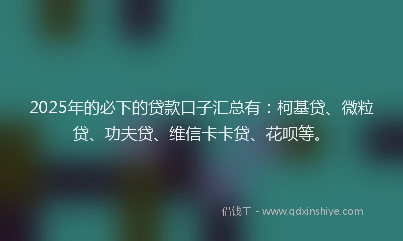 2025年的必下的贷款口子汇总有：柯基贷、微粒贷、功夫贷、维信卡卡贷、花呗等。