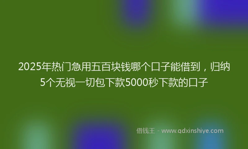 2025年热门急用五百块钱哪个口子能借到，归纳5个无视一切包下款5000秒下款的口子