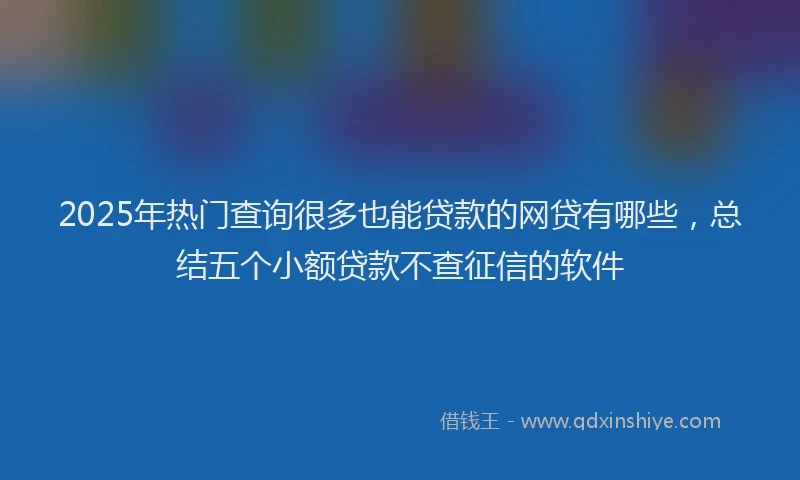 2025年热门查询很多也能贷款的网贷有哪些，总结五个小额贷款不查征信的软件