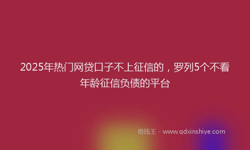 2025年热门网贷口子不上征信的，罗列5个不看年龄征信负债的平台