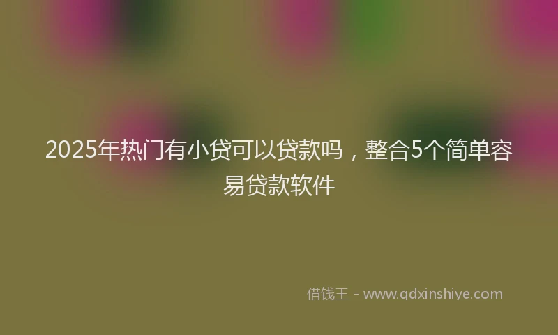 2025年热门有小贷可以贷款吗，整合5个简单容易贷款软件