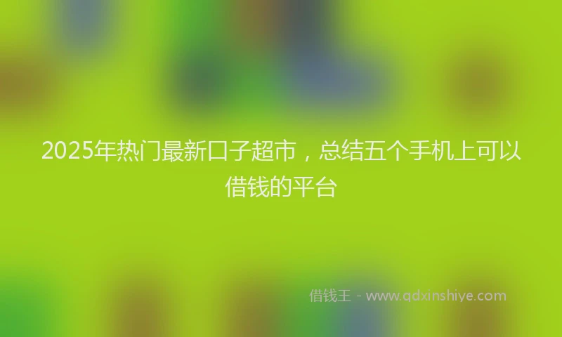 2025年热门最新口子超市，总结五个手机上可以借钱的平台