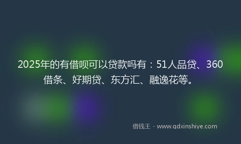 2025年的有借呗可以贷款吗有：51人品贷、360借条、好期贷、东方汇、融逸花等。