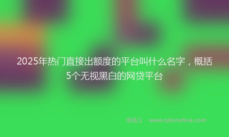 2025年热门直接出额度的平台叫什么名字，概括5个无视黑白的网贷平台