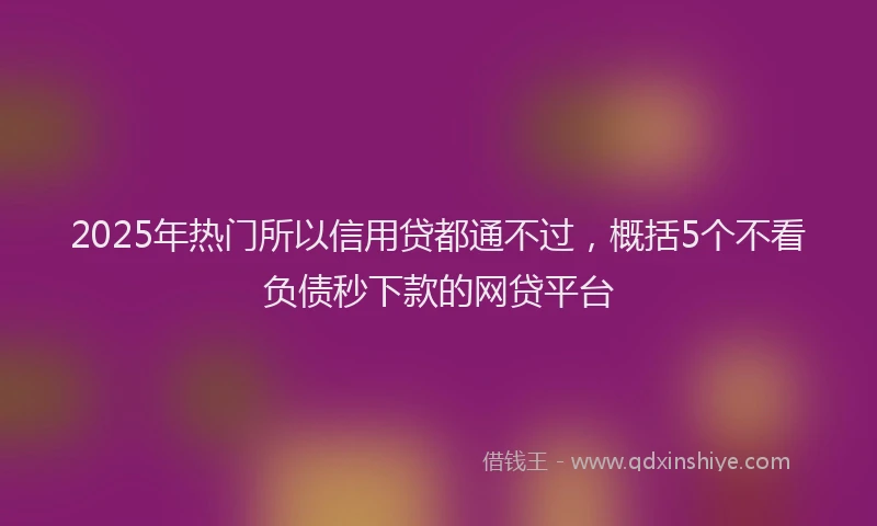 2025年热门所以信用贷都通不过，概括5个不看负债秒下款的网贷平台