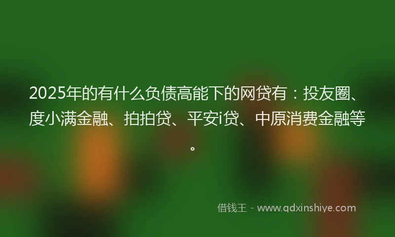 2025年的有什么负债高能下的网贷有：投友圈、度小满金融、拍拍贷、平安i贷、中原消费金融等。