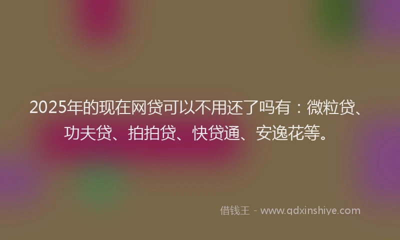 2025年的现在网贷可以不用还了吗有：微粒贷、功夫贷、拍拍贷、快贷通、安逸花等。
