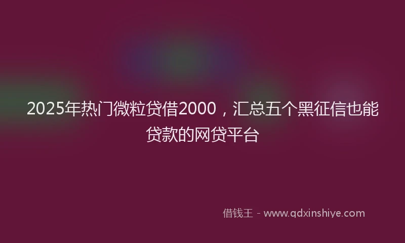 2025年热门微粒贷借2000，汇总五个黑征信也能贷款的网贷平台