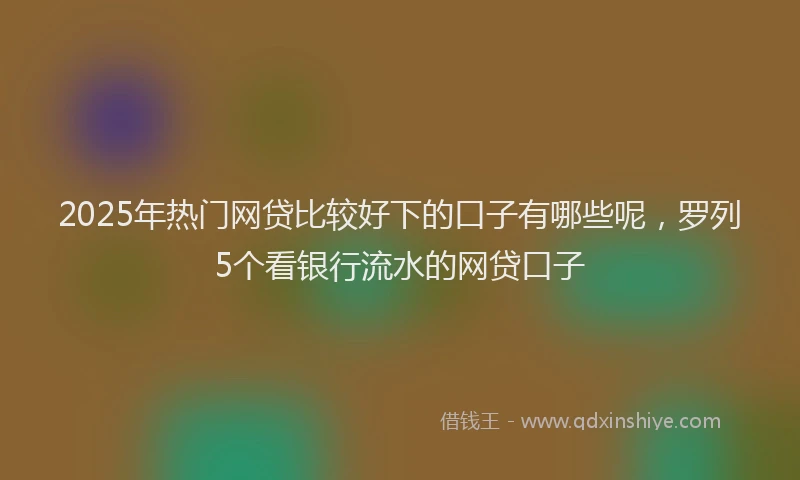 2025年热门网贷比较好下的口子有哪些呢，罗列5个看银行流水的网贷口子