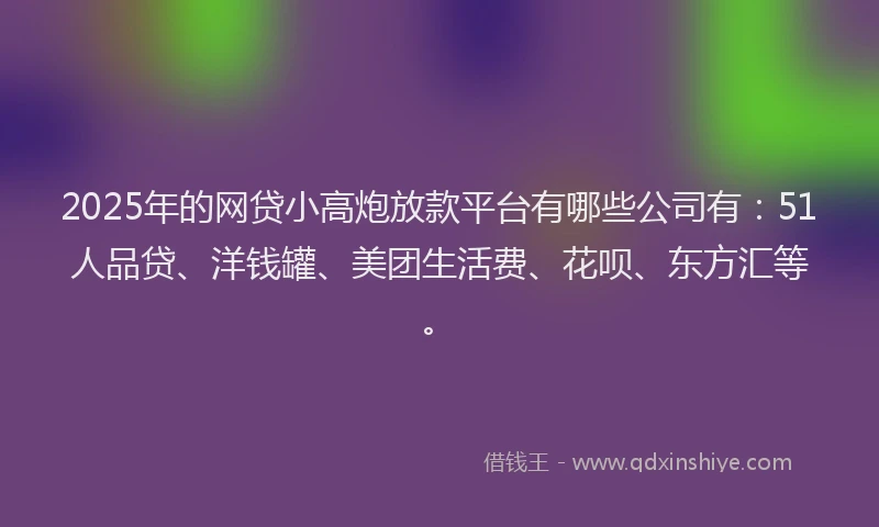 2025年的网贷小高炮放款平台有哪些公司有：51人品贷、洋钱罐、美团生活费、花呗、东方汇等。
