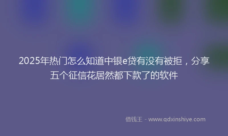 2025年热门怎么知道中银e贷有没有被拒，分享五个征信花居然都下款了的软件