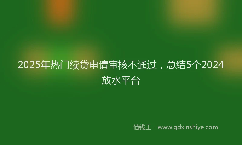 2025年热门续贷申请审核不通过，总结5个2024放水平台