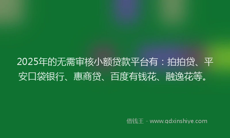 2025年的无需审核小额贷款平台有：拍拍贷、平安口袋银行、惠商贷、百度有钱花、融逸花等。