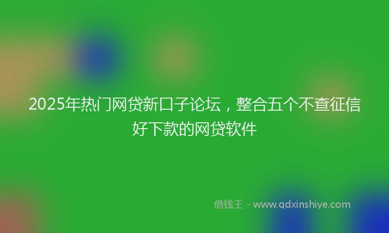 2025年热门网贷新口子论坛，整合五个不查征信好下款的网贷软件