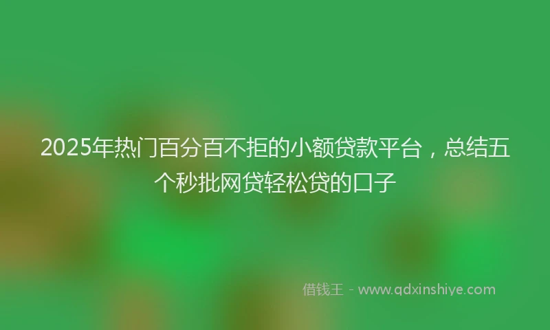 2025年热门百分百不拒的小额贷款平台，总结五个秒批网贷轻松贷的口子