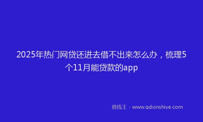 2025年热门网贷还进去借不出来怎么办，梳理5个11月能贷款的app