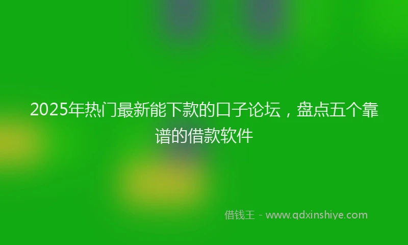 2025年热门最新能下款的口子论坛，盘点五个靠谱的借款软件