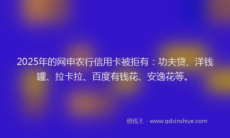 2025年的网申农行信用卡被拒有：功夫贷、洋钱罐、拉卡拉、百度有钱花、安逸花等。