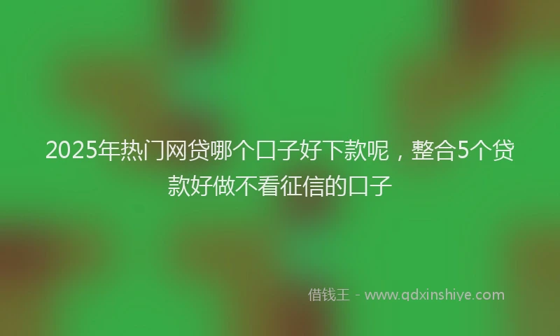 2025年热门网贷哪个口子好下款呢，整合5个贷款好做不看征信的口子