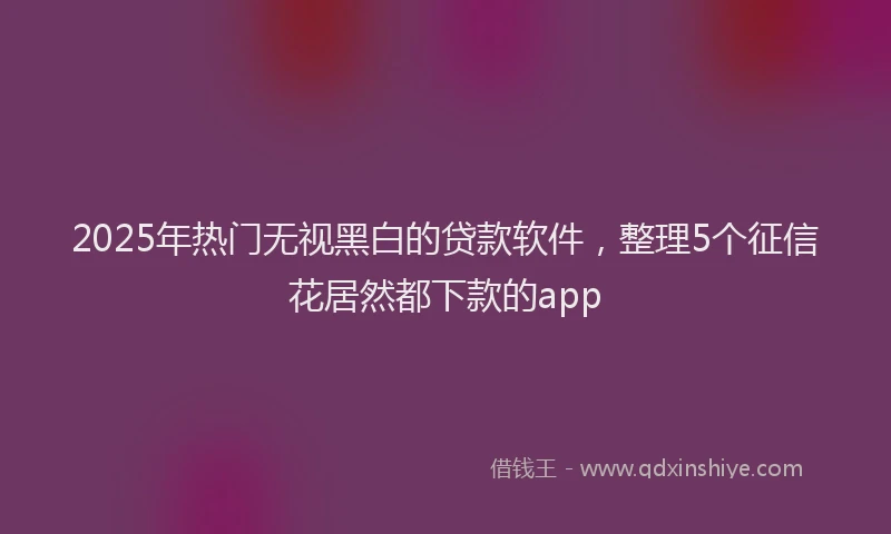 2025年热门无视黑白的贷款软件，整理5个征信花居然都下款的app