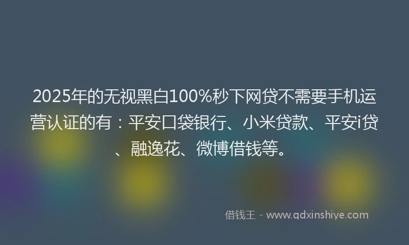 2025年的无视黑白100%秒下网贷不需要手机运营认证的有：平安口袋银行、小米贷款、平安i贷、融逸花、微博借钱等。