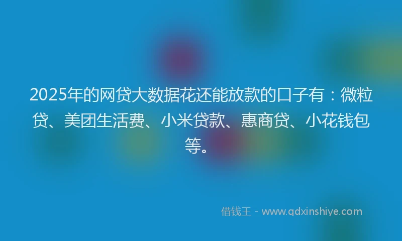 2025年的网贷大数据花还能放款的口子有：微粒贷、美团生活费、小米贷款、惠商贷、小花钱包等。