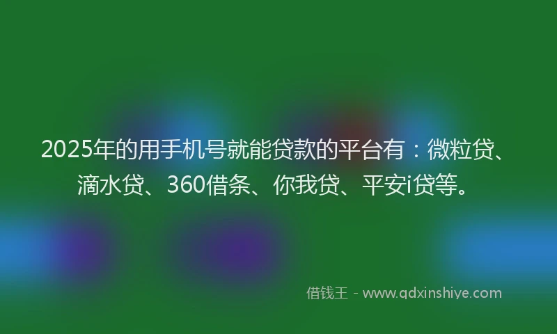 2025年的用手机号就能贷款的平台有：微粒贷、滴水贷、360借条、你我贷、平安i贷等。