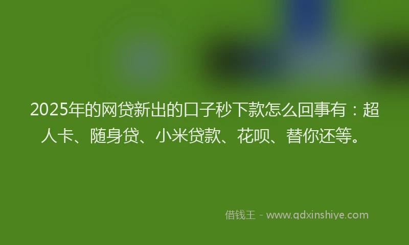 2025年的网贷新出的口子秒下款怎么回事有：超人卡、随身贷、小米贷款、花呗、替你还等。