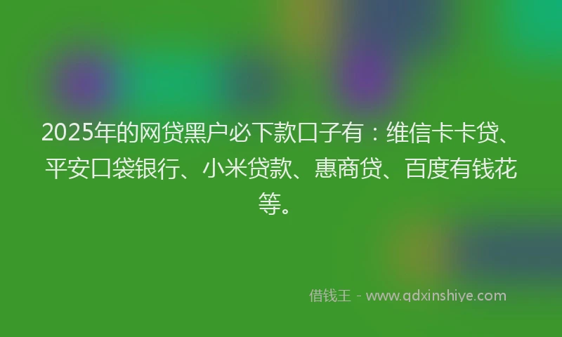2025年的网贷黑户必下款口子有：维信卡卡贷、平安口袋银行、小米贷款、惠商贷、百度有钱花等。