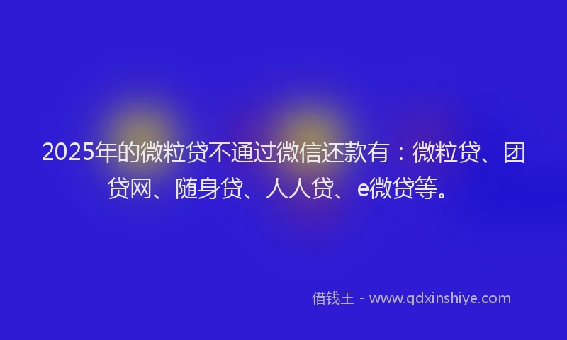 2025年的微粒贷不通过微信还款有：微粒贷、团贷网、随身贷、人人贷、e微贷等。