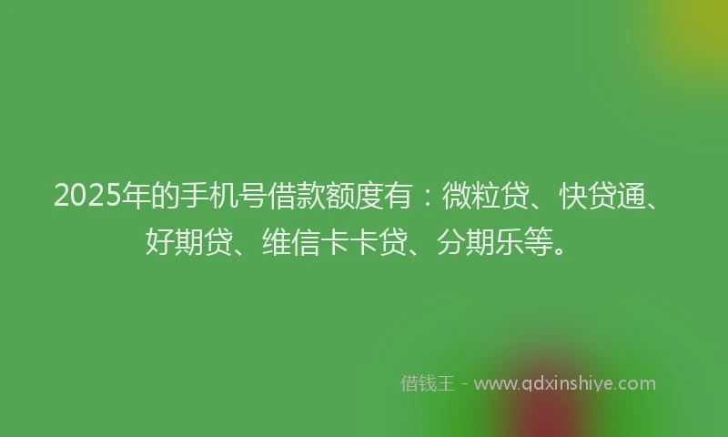 2025年的手机号借款额度有：微粒贷、快贷通、好期贷、维信卡卡贷、分期乐等。