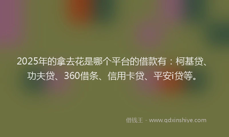 2025年的拿去花是哪个平台的借款有：柯基贷、功夫贷、360借条、信用卡贷、平安i贷等。