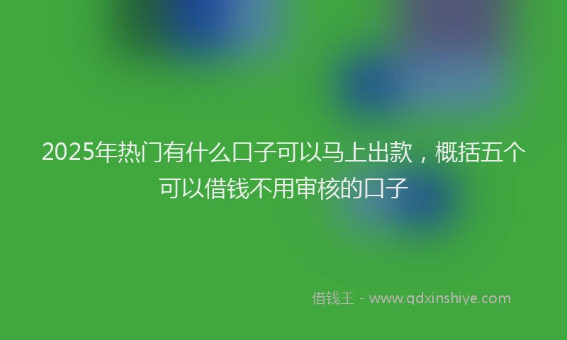 2025年热门有什么口子可以马上出款，概括五个可以借钱不用审核的口子