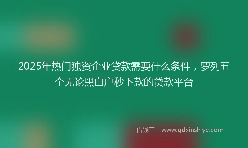 2025年热门独资企业贷款需要什么条件，罗列五个无论黑白户秒下款的贷款平台