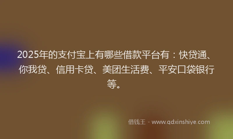 2025年的支付宝上有哪些借款平台有：快贷通、你我贷、信用卡贷、美团生活费、平安口袋银行等。