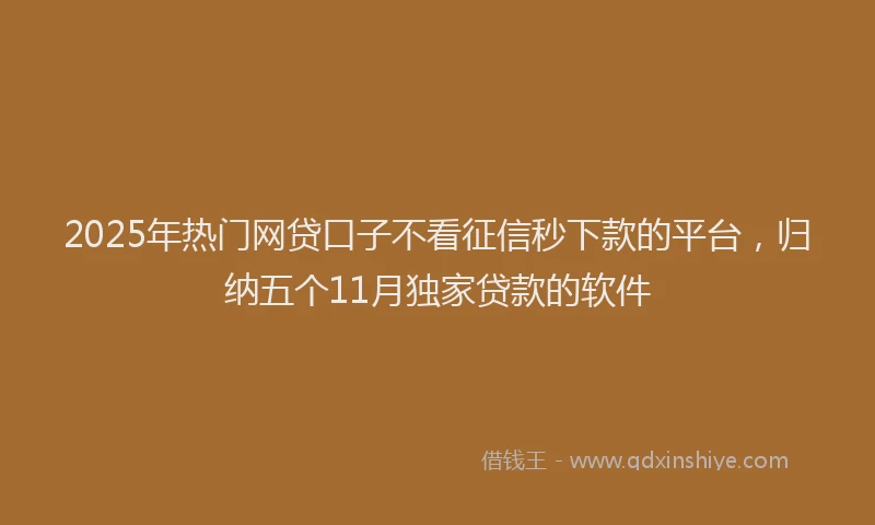 2025年热门网贷口子不看征信秒下款的平台，归纳五个11月独家贷款的软件