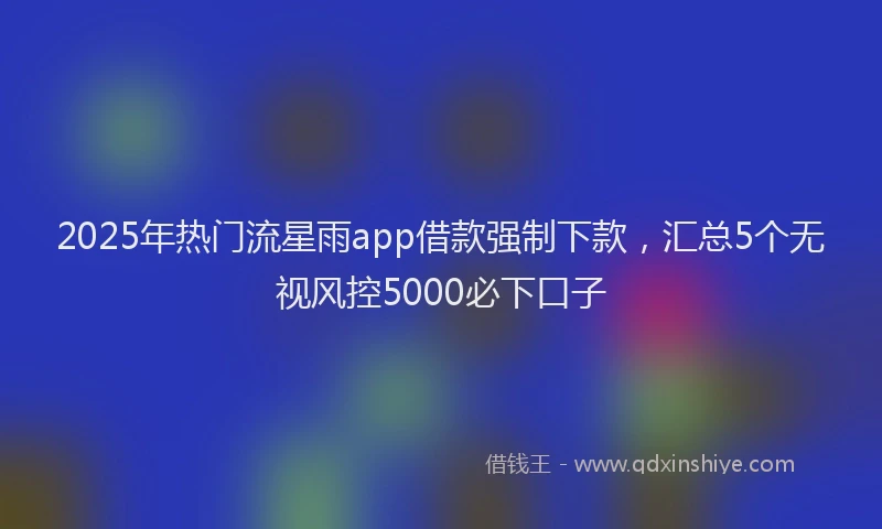 2025年热门流星雨app借款强制下款，汇总5个无视风控5000必下口子