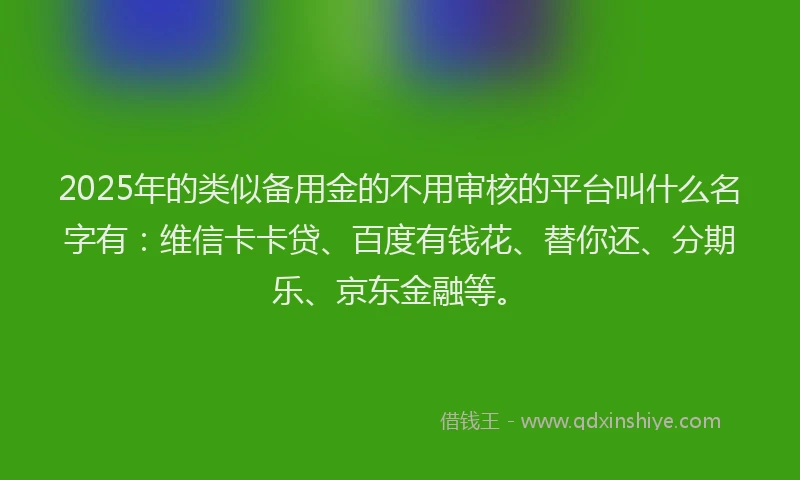 2025年的类似备用金的不用审核的平台叫什么名字有：维信卡卡贷、百度有钱花、替你还、分期乐、京东金融等。