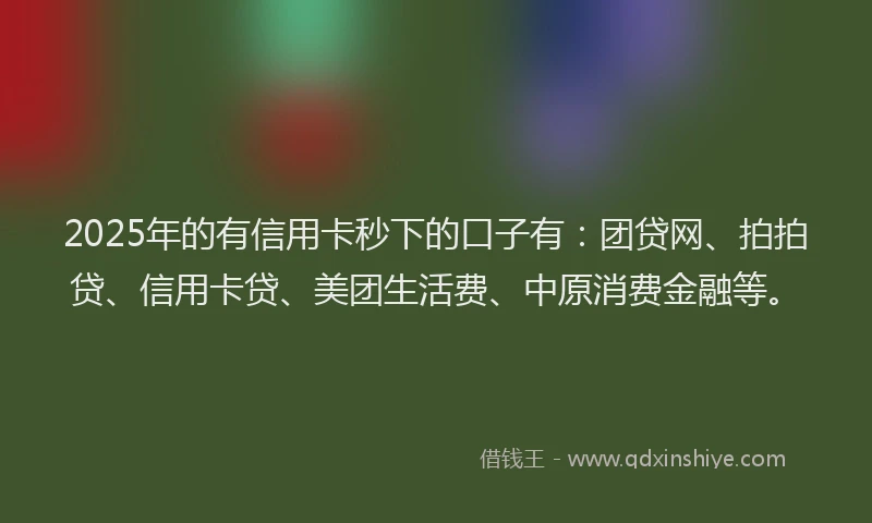 2025年的有信用卡秒下的口子有：团贷网、拍拍贷、信用卡贷、美团生活费、中原消费金融等。