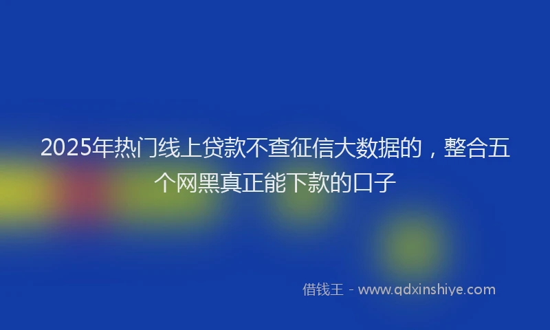 2025年热门线上贷款不查征信大数据的，整合五个网黑真正能下款的口子