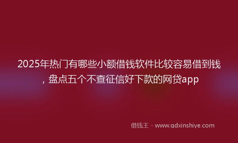 2025年热门有哪些小额借钱软件比较容易借到钱，盘点五个不查征信好下款的网贷app